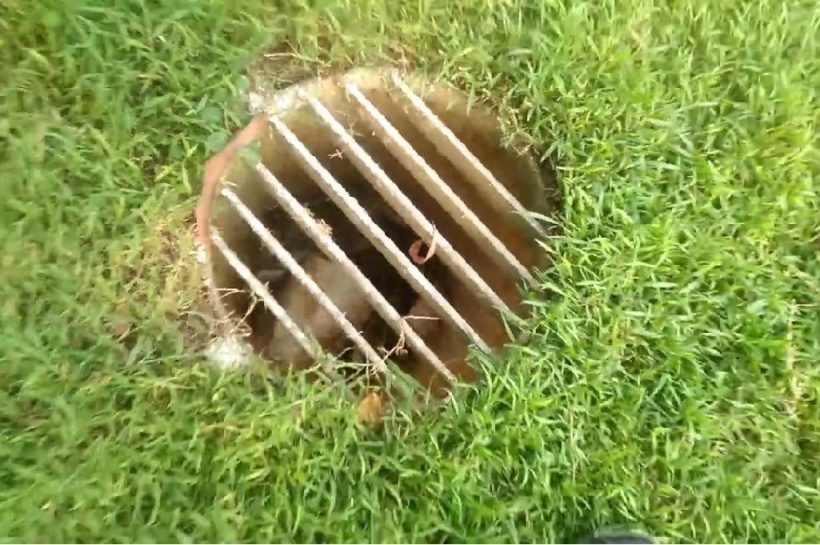 drainase lapangan sepak bola