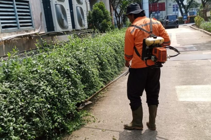 PERAWATAN TANAMAN LIEKWANYU