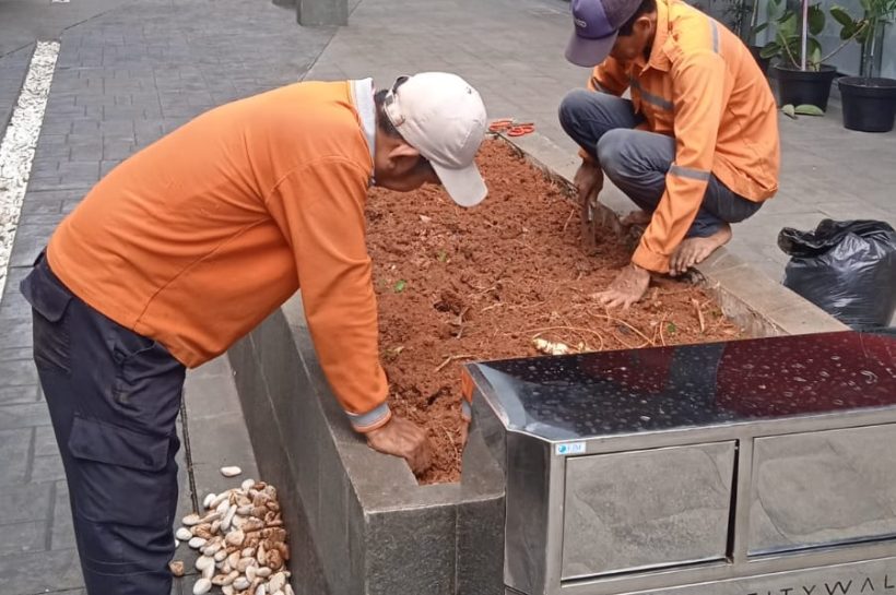 pekerjaan renovasi taman