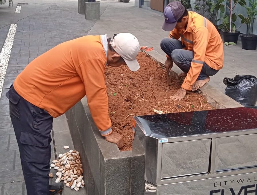 pekerjaan renovasi taman