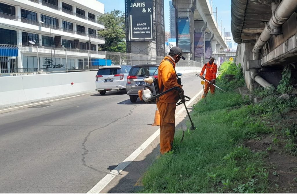JASA PEMELIHARAAN DAN PERAWATAN TAMAN