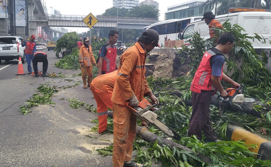 JASA TEBANG POHON