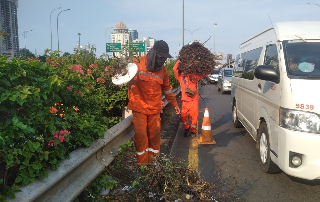 JASA PERAWATAN DAN PEMELIHARAAN TAMAN