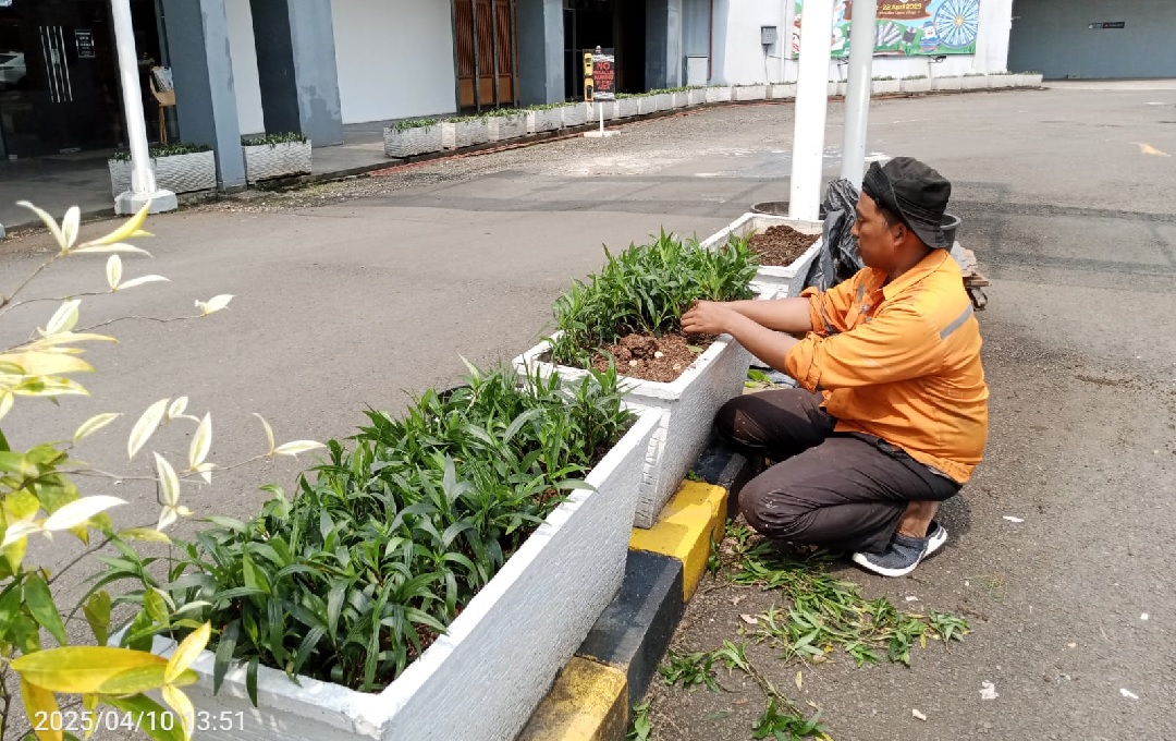 pekerjaan renovasi taman