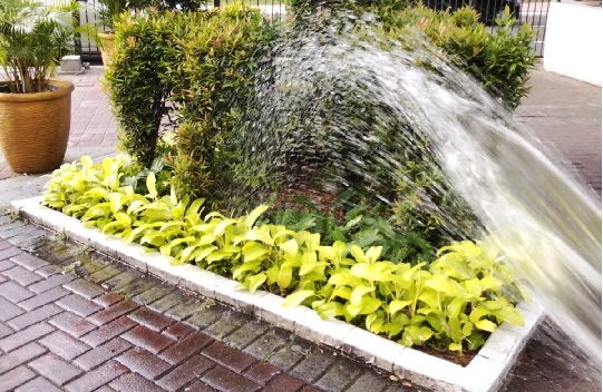 perawatn taman 13.mei.2025