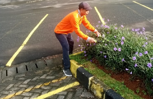 perawatan taman 14.mei.2025