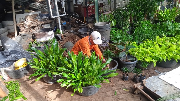 perawatan taman 13.05.2025
