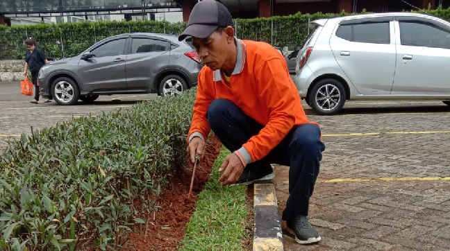 perawatan taman 14.mei.2025