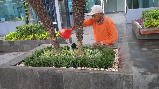 perawatan taman 14.mei.2025