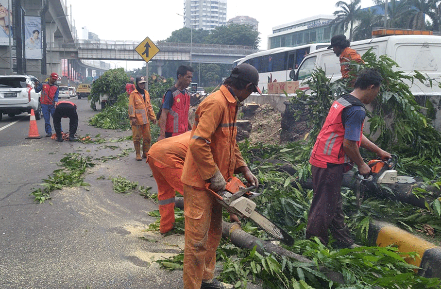 jasa perawatan taman