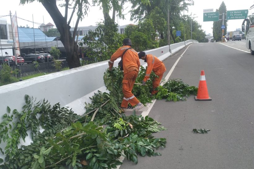 CARA IDEAL PEMELIHARAAN TAMAN