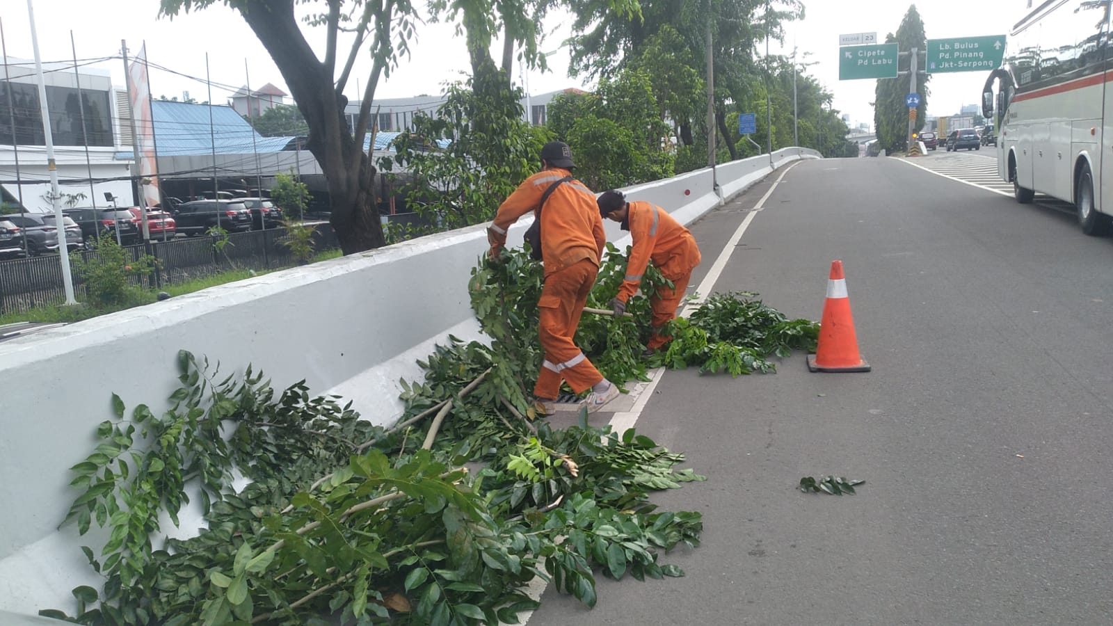 cara ideal pemeliharaan taman