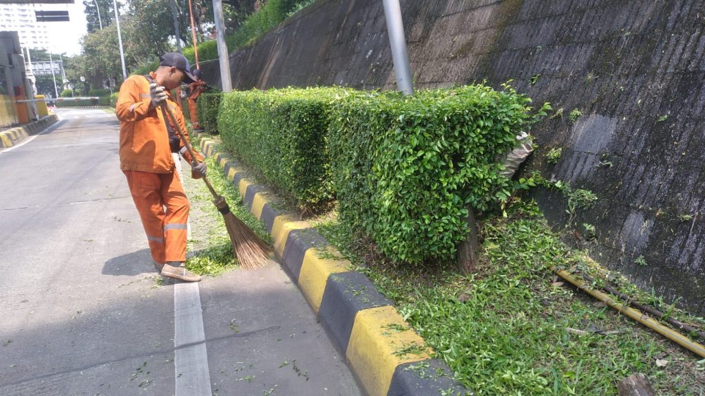 CARA IDEAL PEMELIHARAAN TAMAN