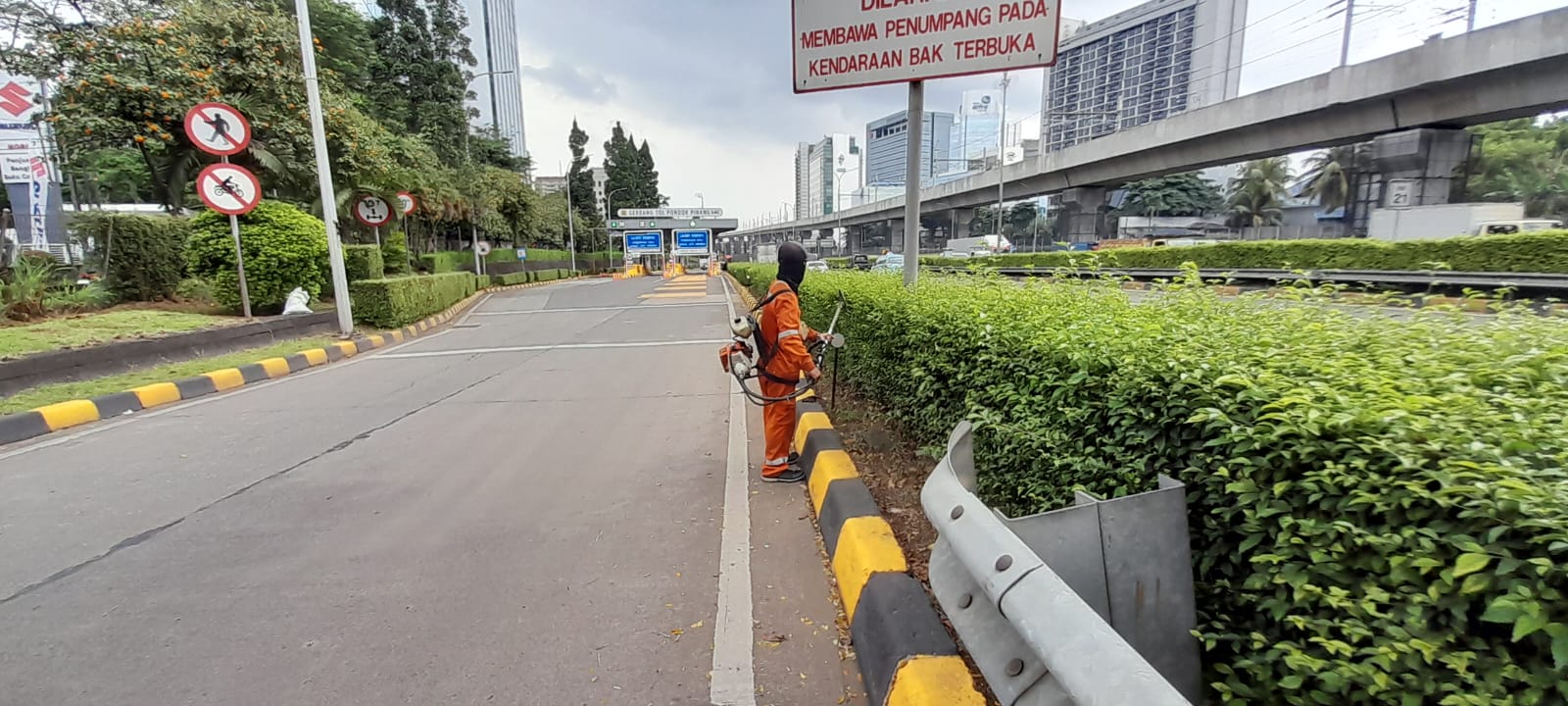 jasa perawatan taman