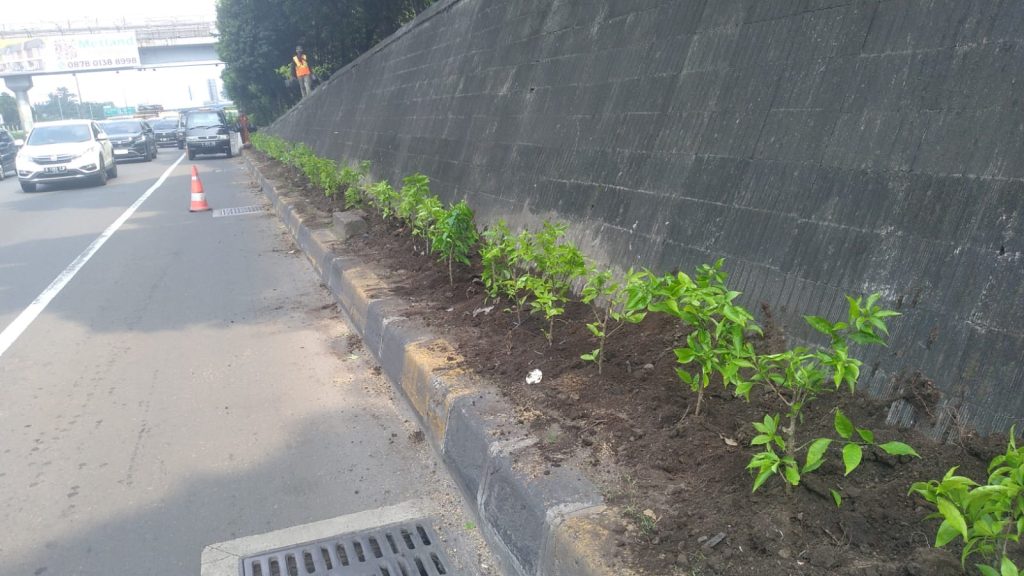 penghijauan di pinggir tol