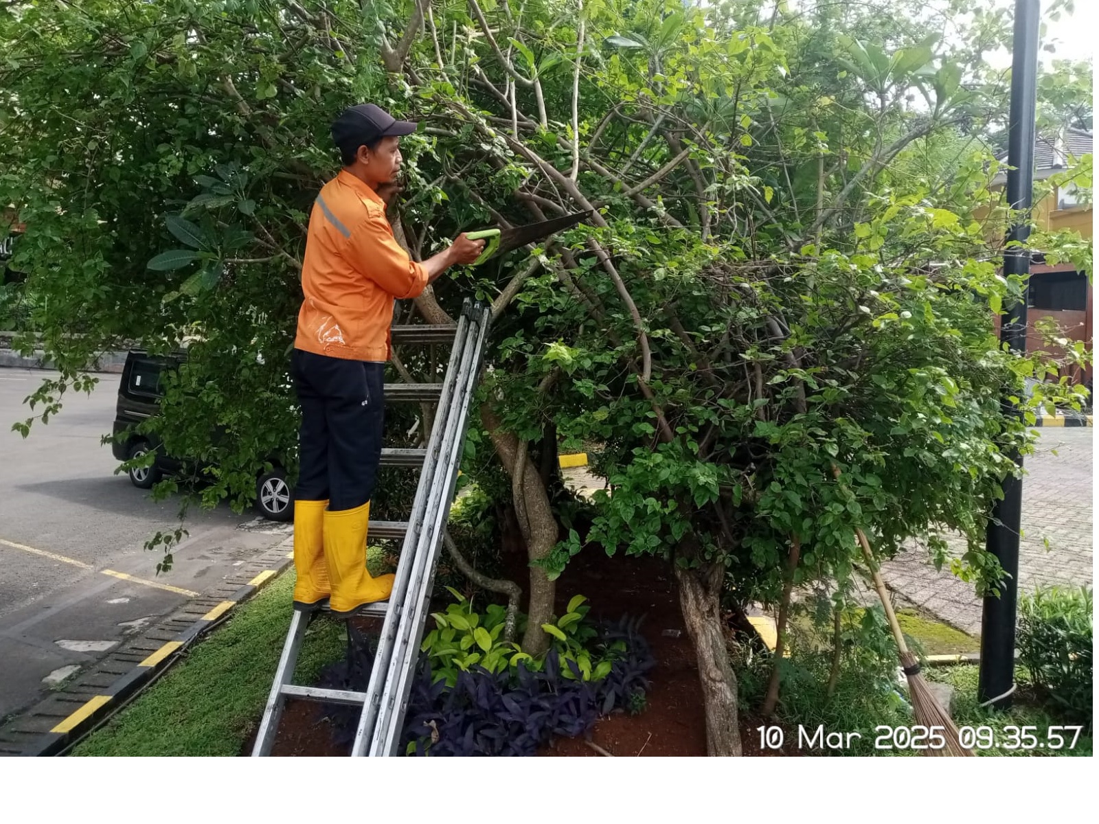 JASA PERAWATAN TAMAN