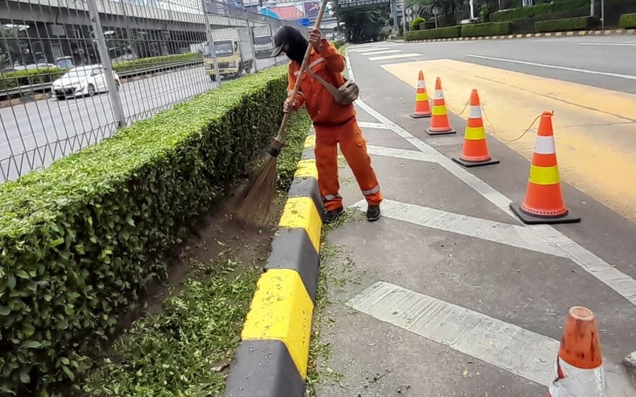 jasa perawatan taman
