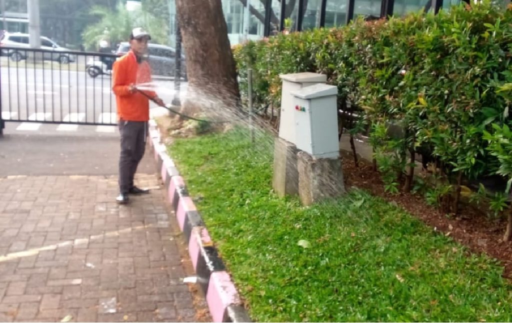 jasa perawatan kebun