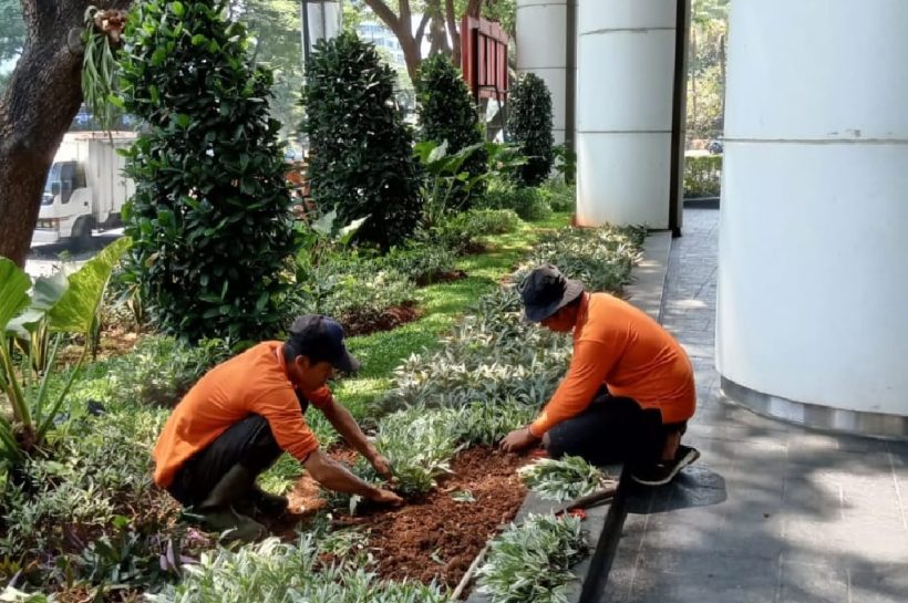 jasa perawatan kebun