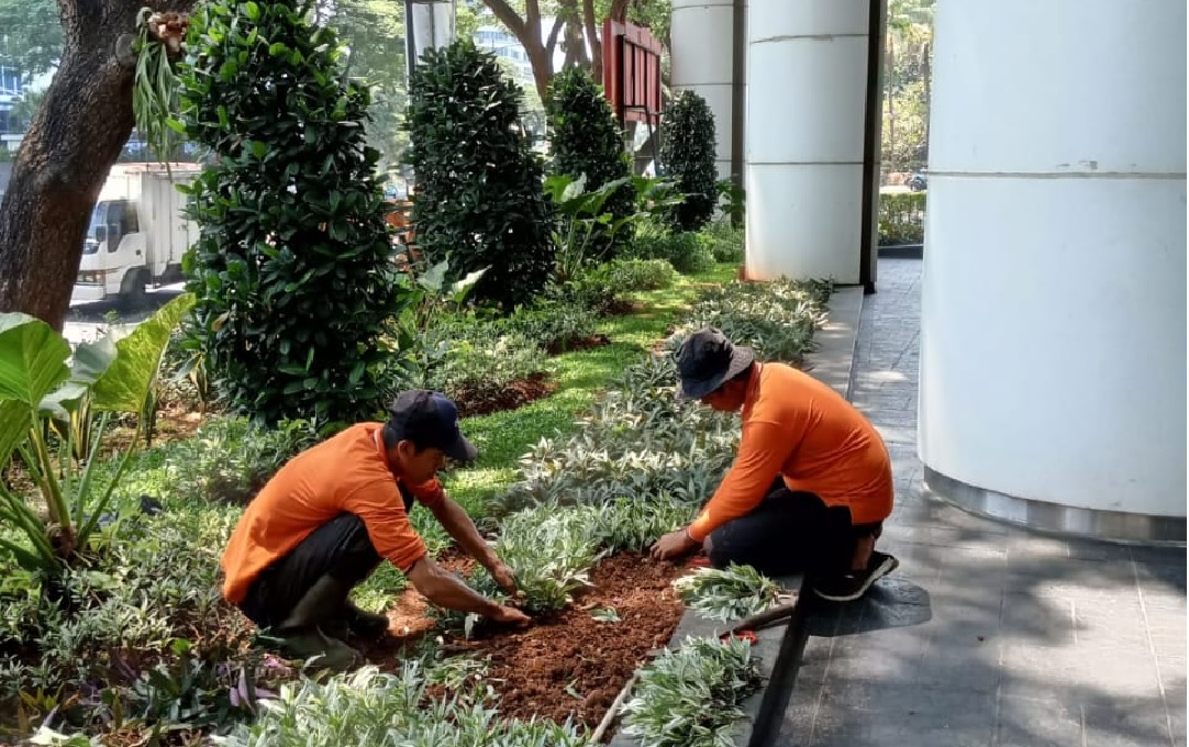 jasa perawatan kebun