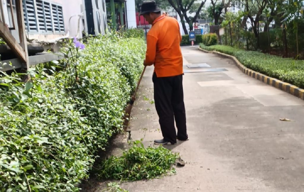 perawatan taman 12-mei-2025