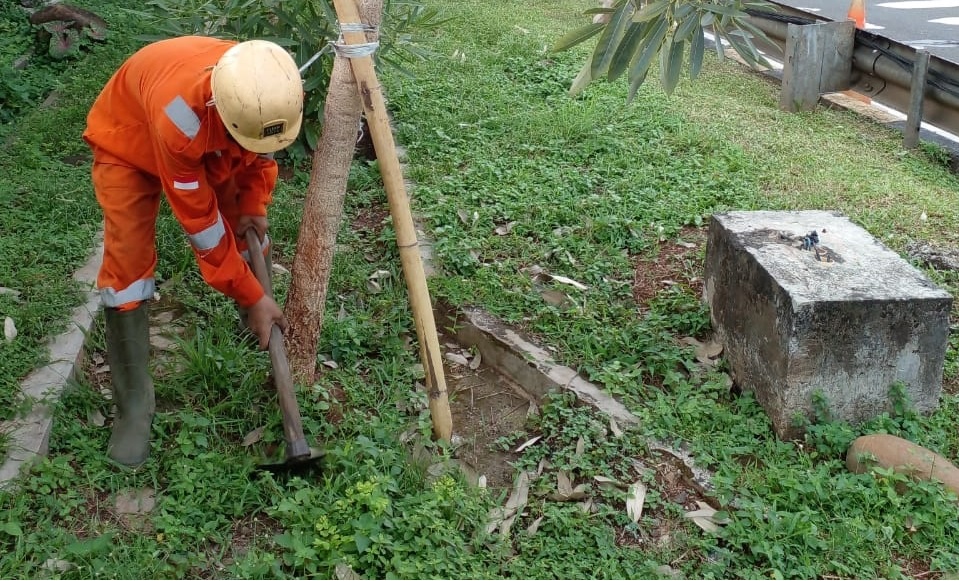 jasa perawatan kebun