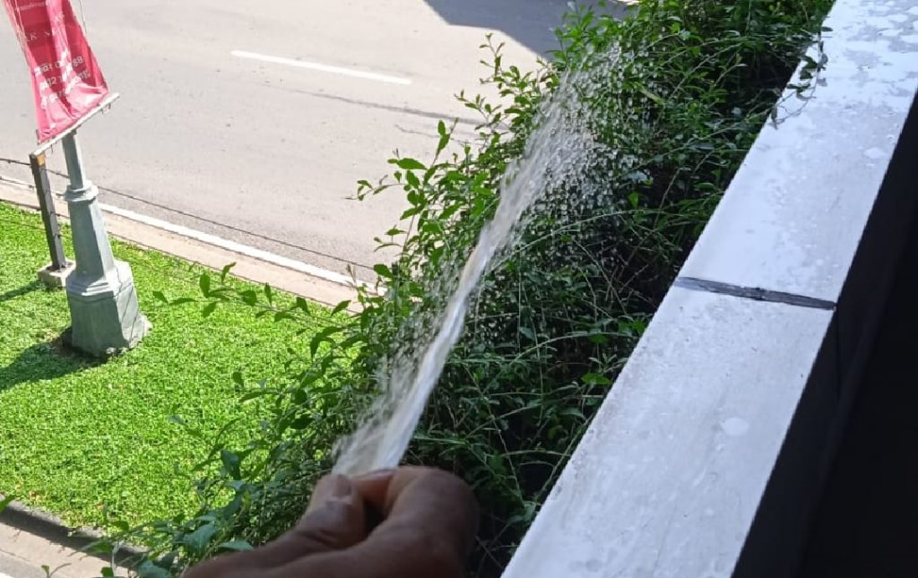 penyiraman liekwanyu