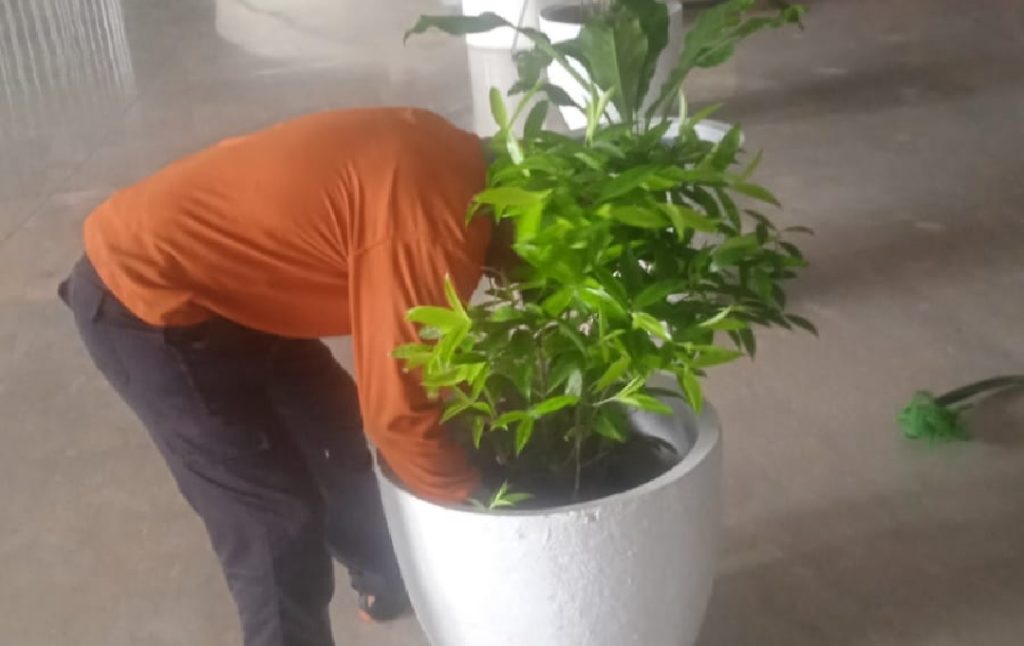 perawatan taman 11-mei-2025