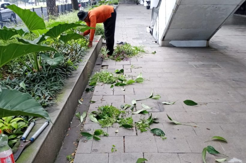 PANDUAN MERAWAT KEBERSIHAN TAMAN