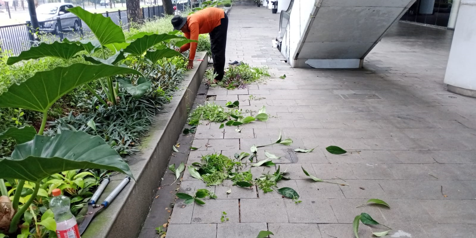 PANDUAN MERAWAT KEBERSIHAN TAMAN