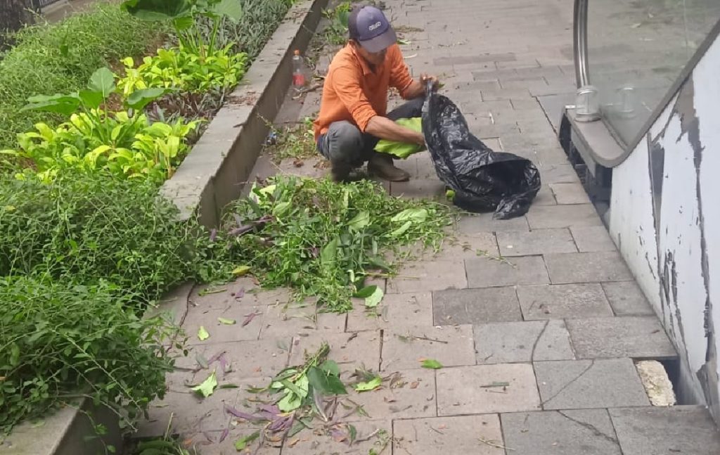 PANDUAN MERAWAT TAMAN