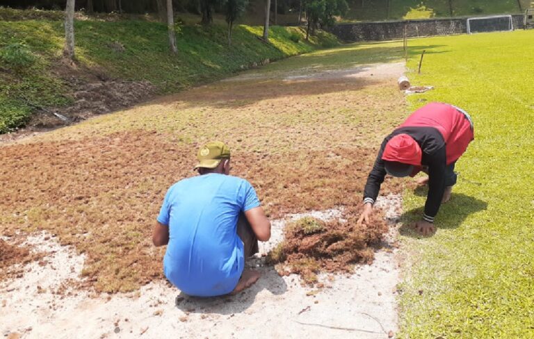 renovasi lapangan sepak bola