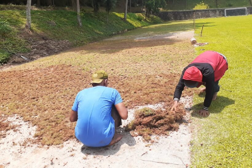 renovasi lapangan sepak bola