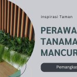 perawatan tanaman air mancur